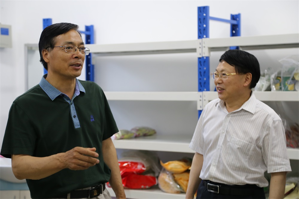 1624186653529047319.jpg 01.jpg