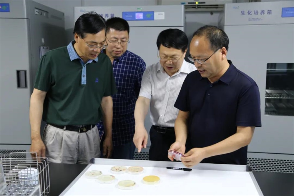 1624186688865022018.jpg 03.jpg