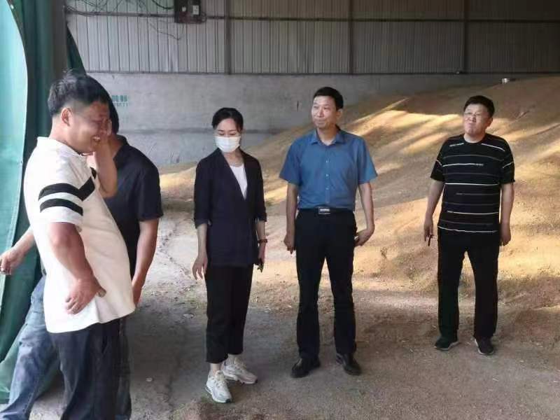 bca37900-2a50-4653-bec3-1581f48a0db0.jpg 11.jpg