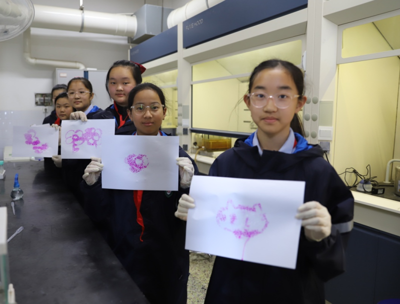 af0e4501-fdb4-4a0b-a058-ed580eb9bb60.png 图片1(1).png