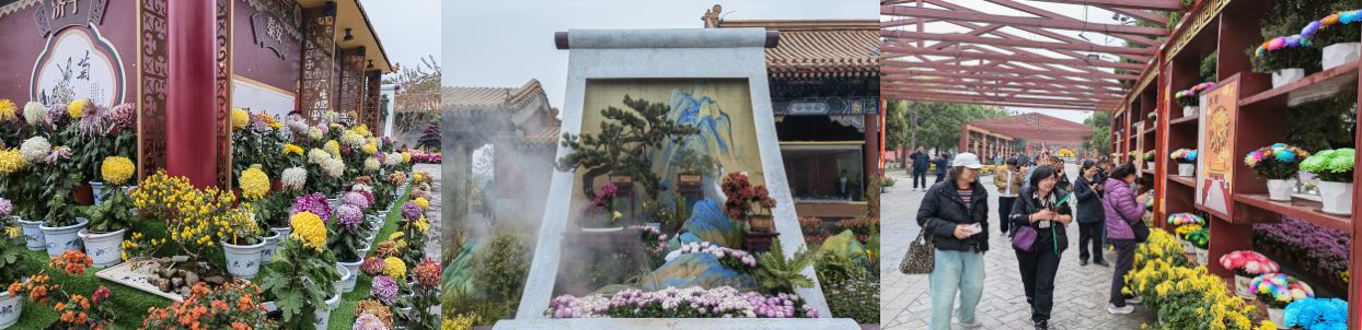 72f1f2a9-e0cd-4f4a-b967-fced46d15803.png 222.png