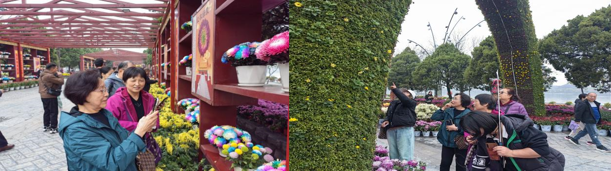 aba9e318-e869-41a0-bdf9-c88f1789a1ef.png 333.png